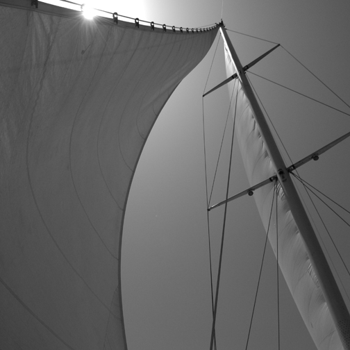 sails4.jpg
